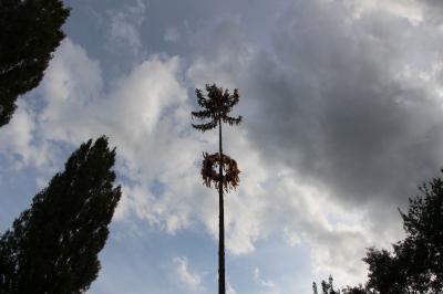 Kerwasburschen Buckenhofen