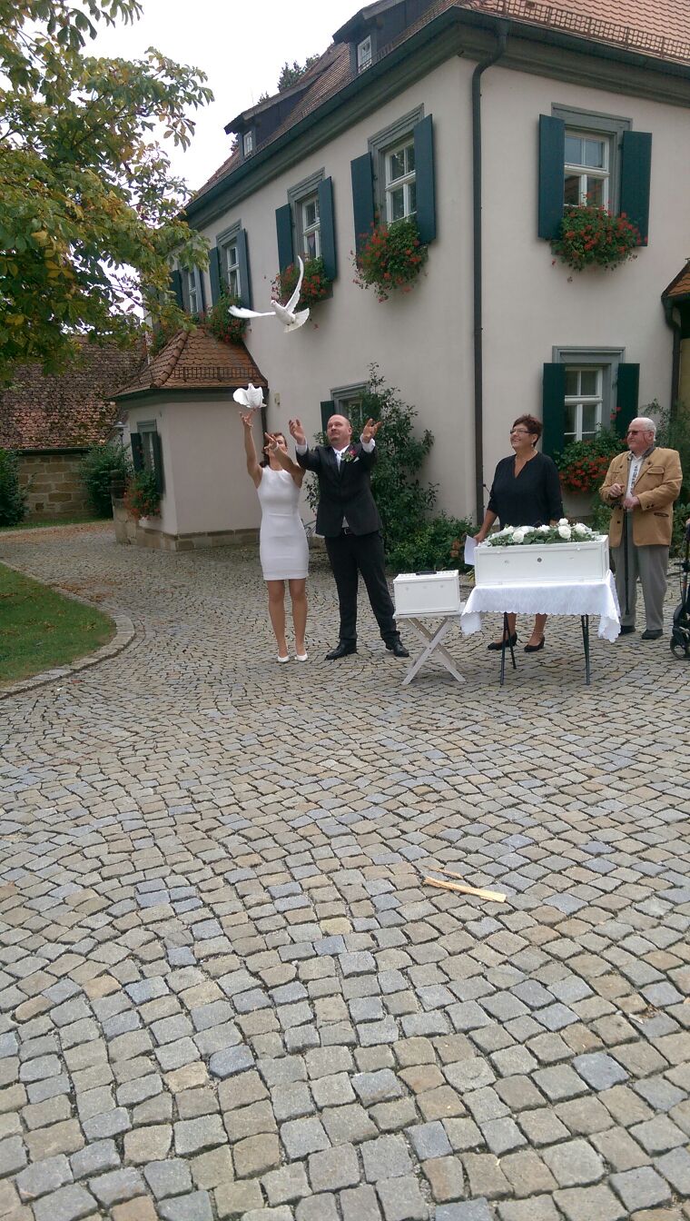 Tauben fliegen